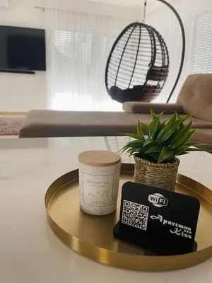 a coffee table with a potted plant on top of it at Apartman Kiss in Jajce