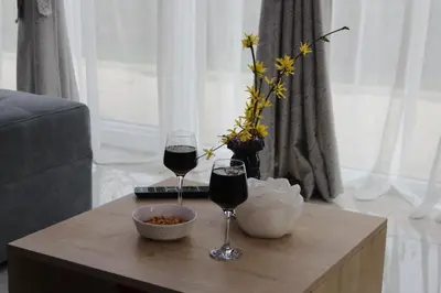two glasses of wine sitting on a coffee table at Villa Asja in Bihać