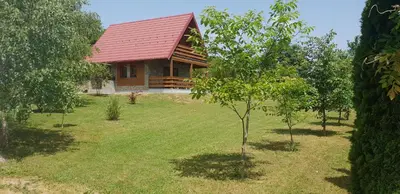 a small house with a red roof in a yard at Green Garden Lohovo in Bihać