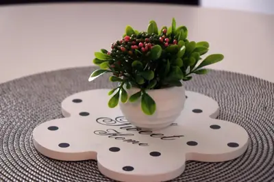 a vase with a plant sitting on a table at apartman Kami in Tuzla