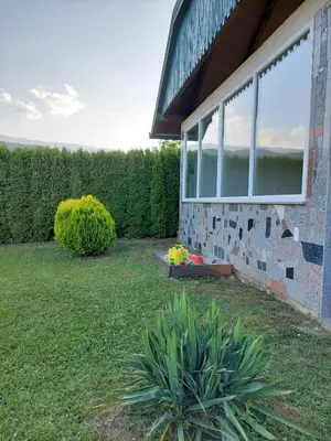 a house with a plant in the yard at La Reina Una in Bihać