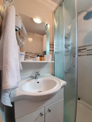 a bathroom with a sink and a shower at La Reina Una in Bihać