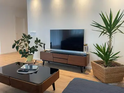 a living room with a tv and two potted plants at Beautiful modern apartment with large livingroom in Bihać