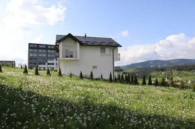 a house on a hill with a field of flowers at Lotus Villas in Travnik