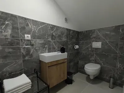 a bathroom with a sink and a toilet at Holiday home Una - H in Bosanska Krupa