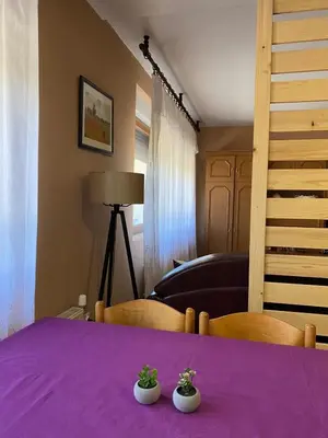 a purple table with two plants on top of it at Apartman Lavanda in Drvar