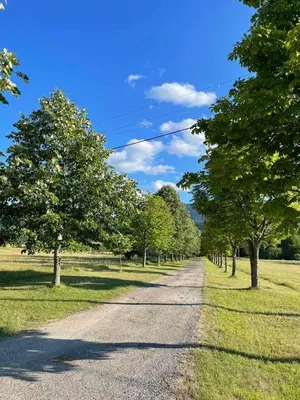 a dirt road with trees on either side at Mountain Heart House in Bosanski Petrovac