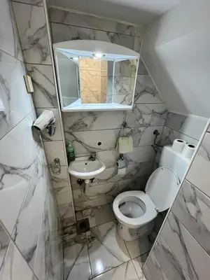 a bathroom with a toilet and a sink and a mirror at Stan Centar 1 in Banja Luka