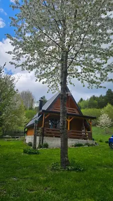 a large wooden cabin with a tree in the grass at Planinska brvnara in Kupres