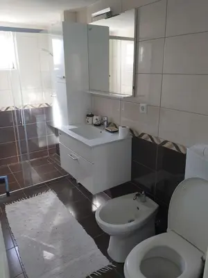 a bathroom with a white toilet and a sink at Šadrvan Una Apartment in Bihać