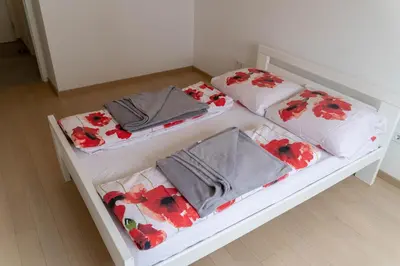 three beds in a room with red flowers on them at Apartman SLOL in Banja Luka