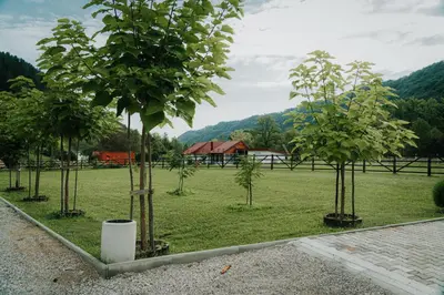 a group of trees in a field with a house at Apartments MoonRiver in Bihać