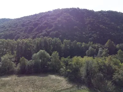 an aerial view of a forest of trees at Apartments MoonRiver in Bihać