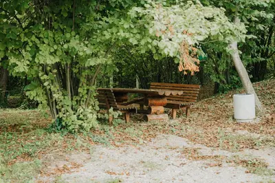 two benches sitting under a tree in a park at Apartments MoonRiver in Bihać