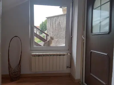 a cat looking out the window of a house at Apartmani Emir in Visoko