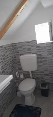 a bathroom with a toilet and a sink and a window at Ravne weekend house in Visoko