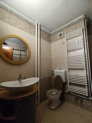 a bathroom with a sink and a toilet and a mirror at Apartment Wolf in Novi Travnik