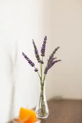 a glass vase with purple flowers in it on a table at Apartmani Mia in Prozor
