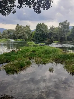 a body of water with grass and trees at Apartman Dalal - with access to river Una in Bihać