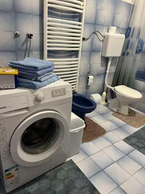 a bathroom with a washing machine and a toilet at Studio apartman NINA in Bihać