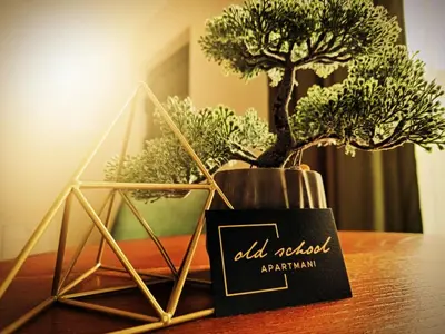 a table with a bonsai tree on top of it at Old School Apartments in Banja Luka