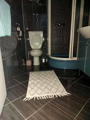 a bathroom with a toilet and a shower and a rug at Indy in Travnik