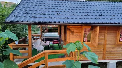 a small wooden house with a black roof at Holiday Home SAJRA in Kulen Vakuf