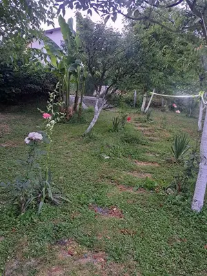 a garden with trees and flowers in the grass at Garden- pool apartman in Petrovice Donje