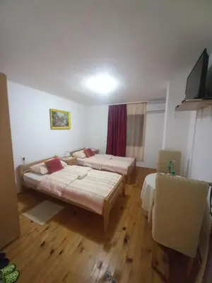 a room with two beds and a television in it at Soba Dujaković in Banja Vrućica