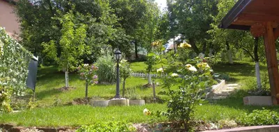 a garden with a street light in the grass at Pyramid Gardens in Visoko