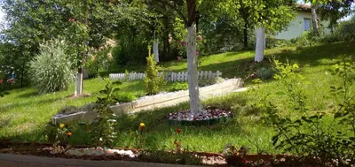a garden with a tree and flowers in the grass at Pyramid Gardens in Visoko