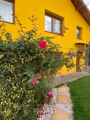 a yellow house with pink flowers in front of it at Pyramid Gardens in Visoko