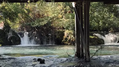 a bear swimming in a river with waterfall at Waterfall Glamping Cabin in Bihać