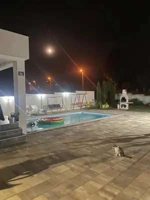 a cat sitting next to a swimming pool at night at Villa Sami in Bihać