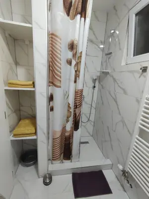 a white bathroom with a shower and a toilet at Apartman Markešić 3 in Ripci