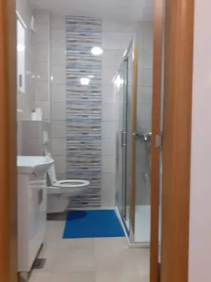 a bathroom with a shower and a toilet and a sink at Apartman Paradiso in Banja Luka