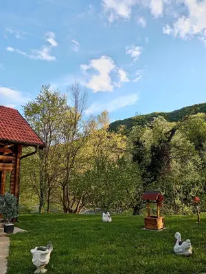 a group of ducks in the grass in a park at Apartmani Kajkut in Banja Luka