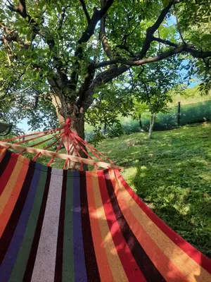 a colorful striped hammock under a tree in a field at Ravne Konak in Visoko