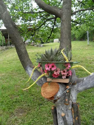 a planter on a tree with flowers in it at Ravne Konak in Visoko
