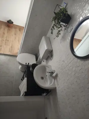 a bathroom with a sink and a mirror at Apartman Ela in Banja Luka