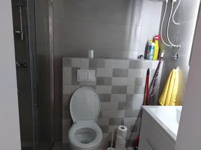 a small bathroom with a toilet and a shower at Zidart lux in Pištelići