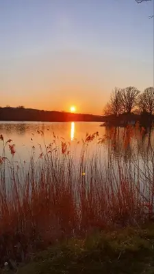 a sunset over a body of water with tall grass at Magaze de Luxe in Gradačac