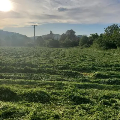 a field of grass with the sun in the background at Vila Zvizdic- apartman in Ilijaš