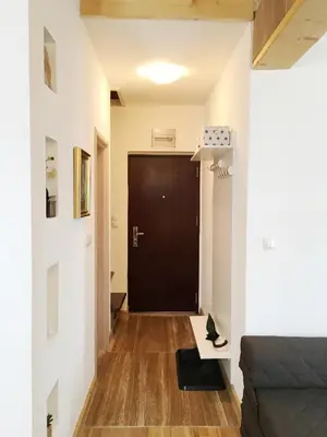 a hallway with a black door in a room at Apartman Nancy Vlašić in Vlasic