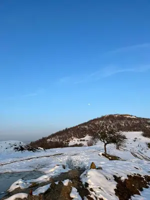a tree on top of a snow covered hill at Sunrise Apartment in Visoko