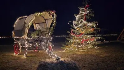 a christmas tree and a carriage next to a christmas tree at Etno Selo RELAX in Šipovo