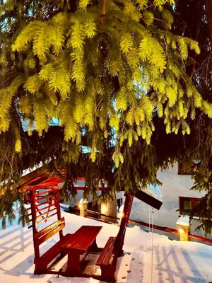 Gallery image of Vikend kuća Dina Vlašić in Vlasic