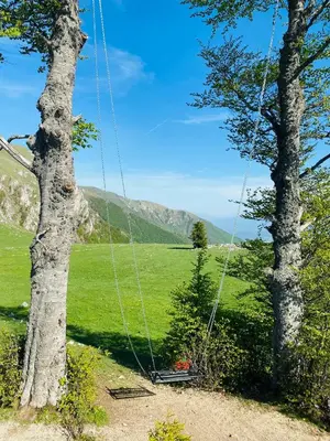 a swing in a field next to a tree at Apartman SkiBeg, Vlašić in Vlasic