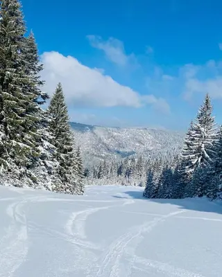 a snow covered slope with trees and mountains in the background at Apartman SkiBeg, Vlašić in Vlasic