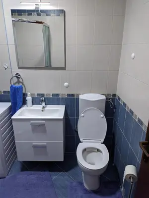 a bathroom with a toilet and a sink and a mirror at Apartment Alex in Banja Luka